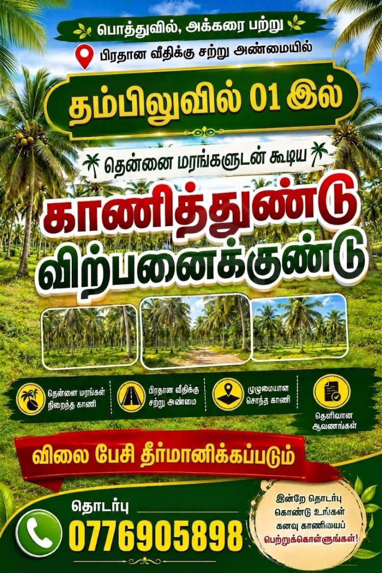 images Media